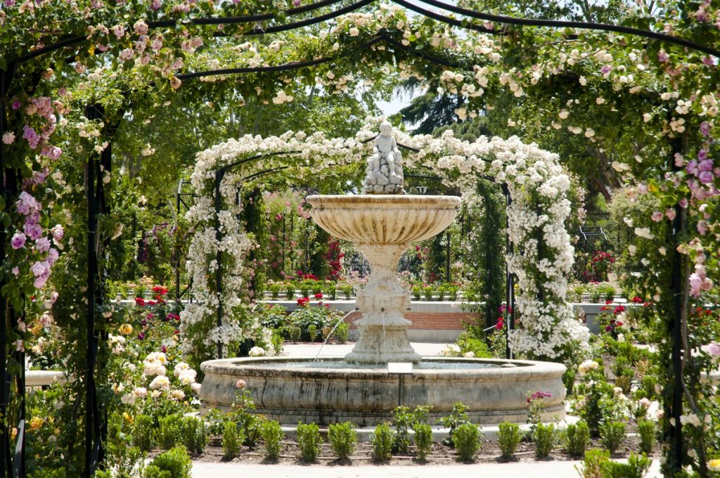 Pedida de mano romántica en La Rosaleda del Parque del Retiro, rodeados de rosas en flor