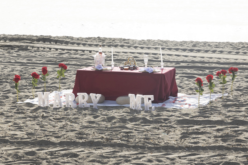Picnic romántico frente al mar